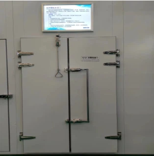 Double open half buried door